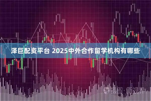 泽巨配资平台 2025中外合作留学机构有哪些