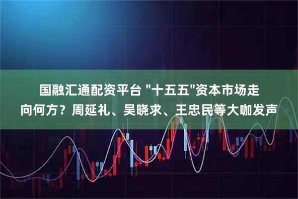 国融汇通配资平台 "十五五"资本市场走向何方?周延礼、吴晓求、王忠民等大咖发声