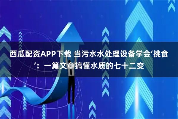 西瓜配资APP下载 当污水水处理设备学会‘挑食’：一篇文章搞懂水质的七十二变